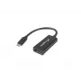 Video kábel adaptér Lanberg AD-UC-DP-01