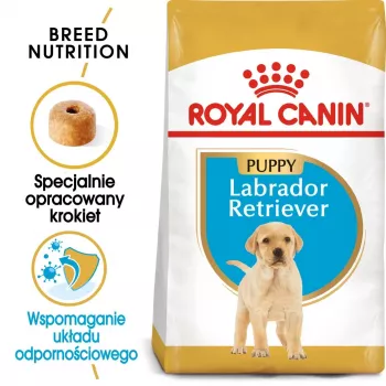 ROYAL CANIN SHN Breed Labrador Junior suché krmivo pre psy - 12 kg
