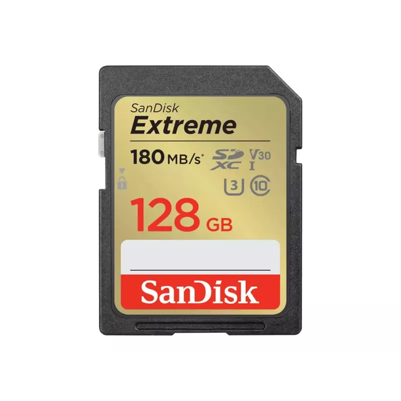 Pamäťová karta SDXC 128 GB UHS-1/SDSDXWA-128G-GNCIN Sandisk