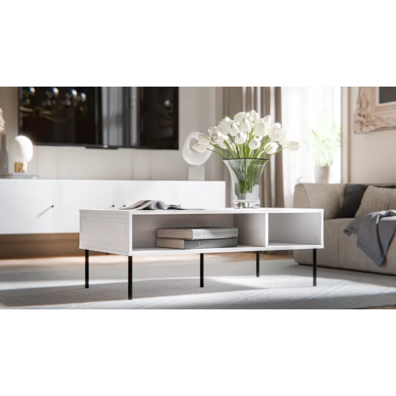 PALAZZO BIS stolík/lavica 110x60x40 biela matná