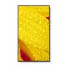 NEC MultiSync M651-2 kioskový dizajn 165,1 cm (65 palcov) LED 500 cd/m² 4K Ultra HD čierny vstavaný procesor