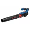 Fúkač na listie Blaupunkt CB4010