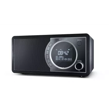 Sharp DR-450 digitálne rádio – čierna, osobné, digitálne, DAB, DAB+, FM, 87,5 – 108 MHz, 174,928 – 239,2 MHz, 3 W