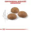 Royal Canin Outdoor suché krmivo pre mačky 2 kg