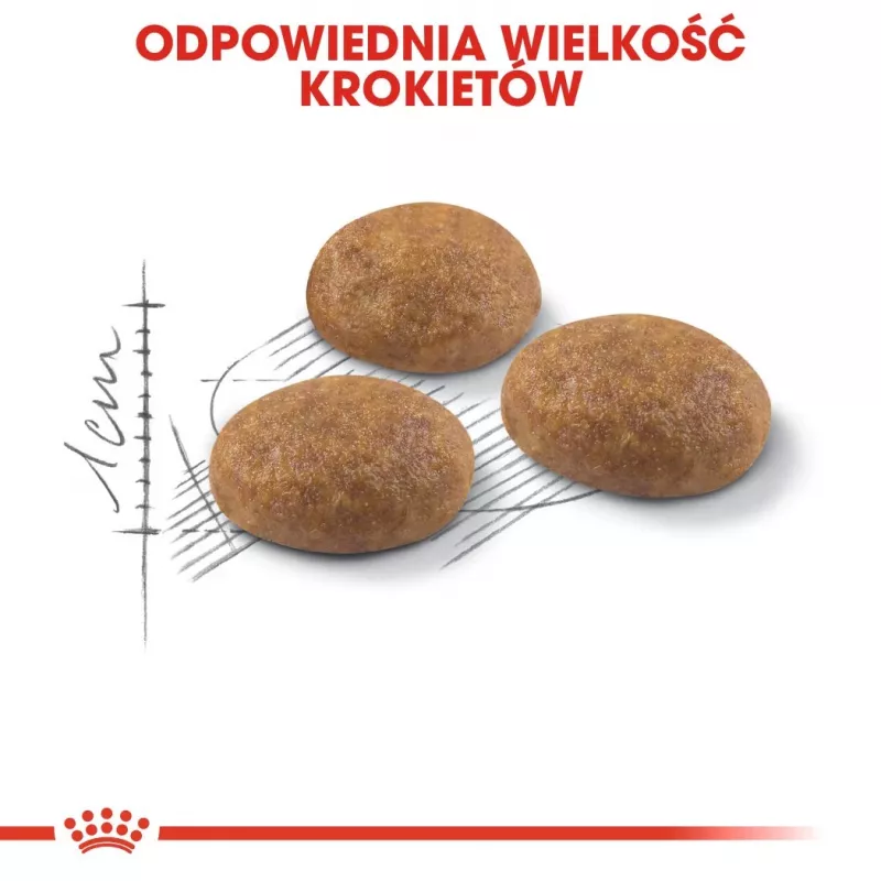Royal Canin Outdoor suché krmivo pre mačky 2 kg