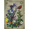 Ravensburger Puzzle Circle of Life Butterfly 1000 dielikov
