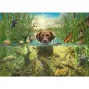 Mark Fredrickson: dog love - hnedý labrador v chladnej vode, puzzle 1000 dielikov