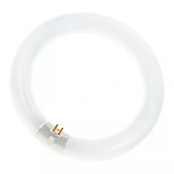 Osram kruhová žiarivka L 40W/840 C G10Q neutrálna biela T9