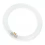 Osram kruhová žiarivka L 40W/840 C G10Q neutrálna biela T9