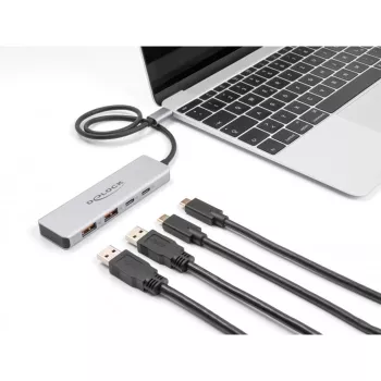 DeLOCK USB hub USB Type-C 10 Gbit/s 2x Type-A 2x Type-C 35 cm kábel