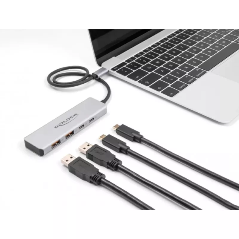 DeLOCK USB hub USB Type-C 10 Gbit/s 2x Type-A 2x Type-C 35 cm kábel