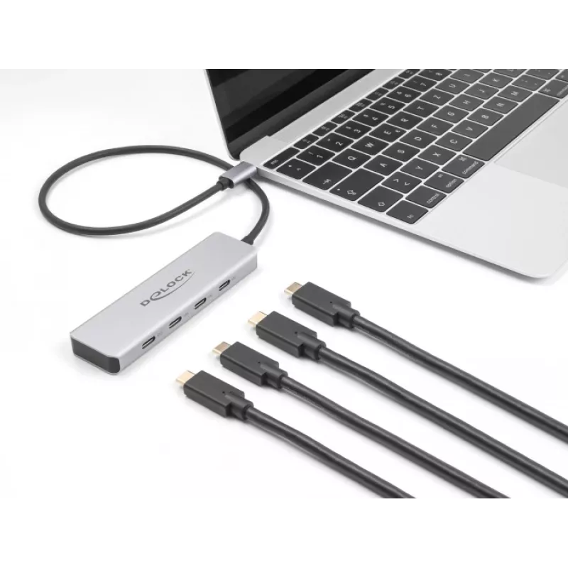 DeLOCK USB Type-C hub 10 Gbps 4 porty hliník sivý