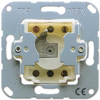 JUNG 134.28 - Kľúčový spínač - 2P - kovový - 250 V - 50 - 60 Hz - 10 A