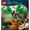 LEGO Harry Potter TM 76433 Mandragora
