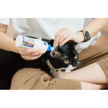 Roztok na starostlivosť o uši VIRBAC EPI-OTIC 125 ml – veterinárny čistič uší pre psov a mačky