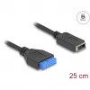 DeLOCK USB kábel kolíkový konektor samica na interný USB Type-E Key A 25 cm