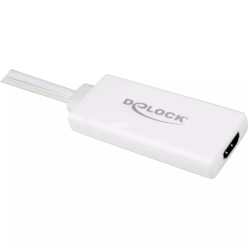 Delock - video / audio adaptér - USB, 15 pin D-Sub (DB-15) samec na HDMI samica - 25cm - biely (62460)