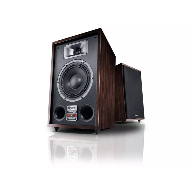 Stĺpový reproduktor Magnat TRANSPULS 800A 2-pásmový káblový & bezdrôtový 2×60 W, Bluetooth 5.0, HDMI, čierny/hnedý