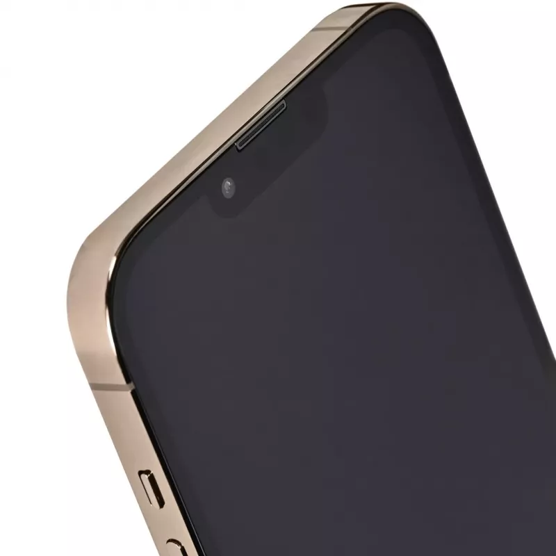 Apple iPhone 13 Pro Max 128 GB Gold (REMADE by 2Bnew) 2Y Remade / repasovaný