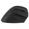 Ergonomická pravácka bezdrôtová myš, Dual WL+BT