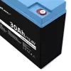 Nabíjateľná batéria LiFePO4 QOLTEC 12,8V 30Ah 384Wh s BMS