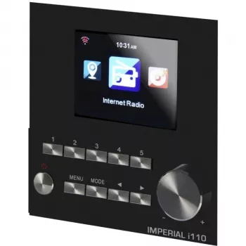 DABMAN i110 WLAN internetové rádio + funkcia mediálneho prehrávača. Wood