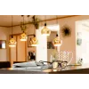LED žiarovka Segula 55058 teplá biela 1900 K 6 W E27