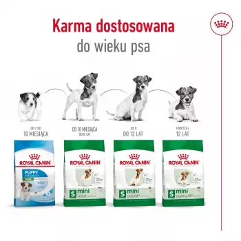 ROYAL CANIN Mini Ageing Adult +12 - suché krmivo pre psov - 3,5 kg
