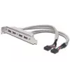 Slotový kábel USB 2.0 HighSpeed Type 2xIDC (5pin)/4xUSB A M/F sivý 0,25 m