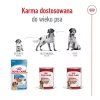 ROYAL CANIN SHN Medium Ageing konzerva 410 g