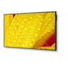 NEC MultiSync M651-2 kioskový dizajn 165,1 cm (65 palcov) LED 500 cd/m² 4K Ultra HD čierny vstavaný procesor