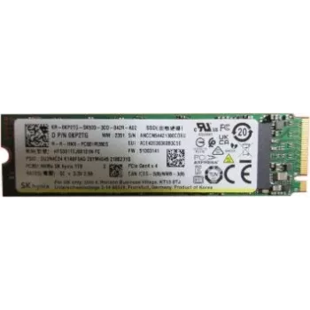 Interný SSD Dell 1TB PM9A1 (model: SSDR G44 80S3)