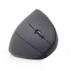 Gembird MUSW-ERGO-01 myš pre pravákov RF bezdrôtová optická 1600 DPI
