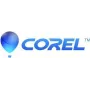 Corel PaintShop Pro 2023 - box - 1 používateľ (mini-box) - Win - multi-lingual - Európa