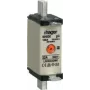 Hager LNH0032MK. Šírka: 21 mm, výška: 79 mm (LNH0032MK)