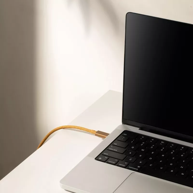 Kábel USB-C na USB-C Native Union Belt Kábel Pro 240W, 2,4 m, USB 2.0, 0,48 Gbit/s, zelený