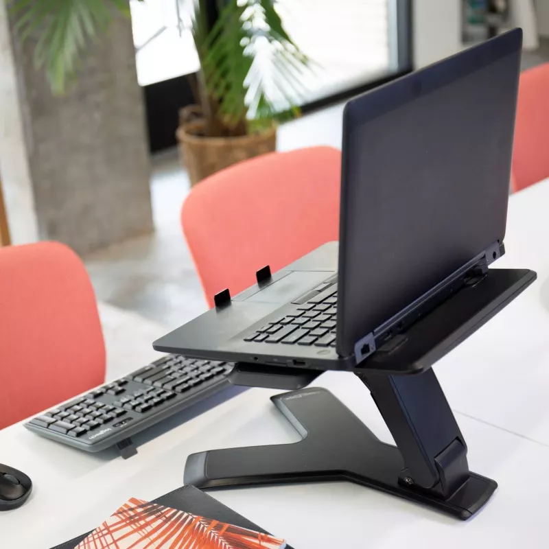 Stojan na notebook Ergotron Neo-Flex™ Notebook Lift Stand čierny