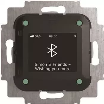 Busch-Jaeger Busch-Radio BTconnect DAB+ s Bluetooth rozhraním 8217 U-101 (2CKA008200A0278)