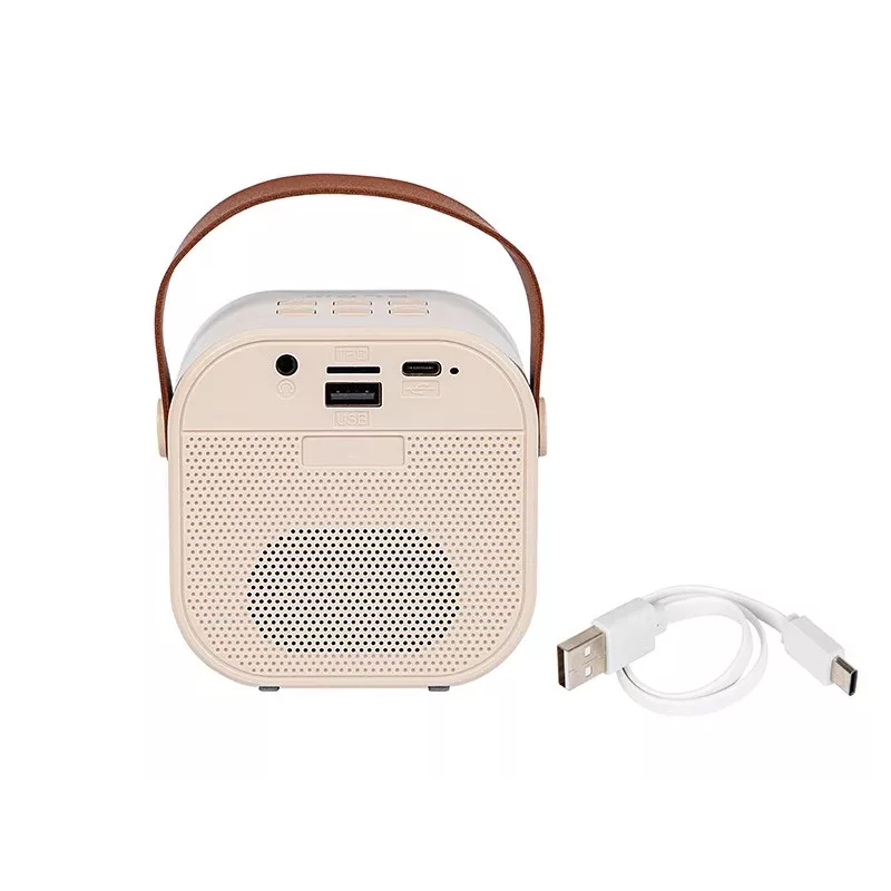 Karaoke reproduktor, KARAOKE RGB Bluetooth reproduktor, 30W
