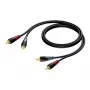 Audio kábel Procab 2x RCA/Cinch samec, dĺžka 1 m (model 1KPCL079)