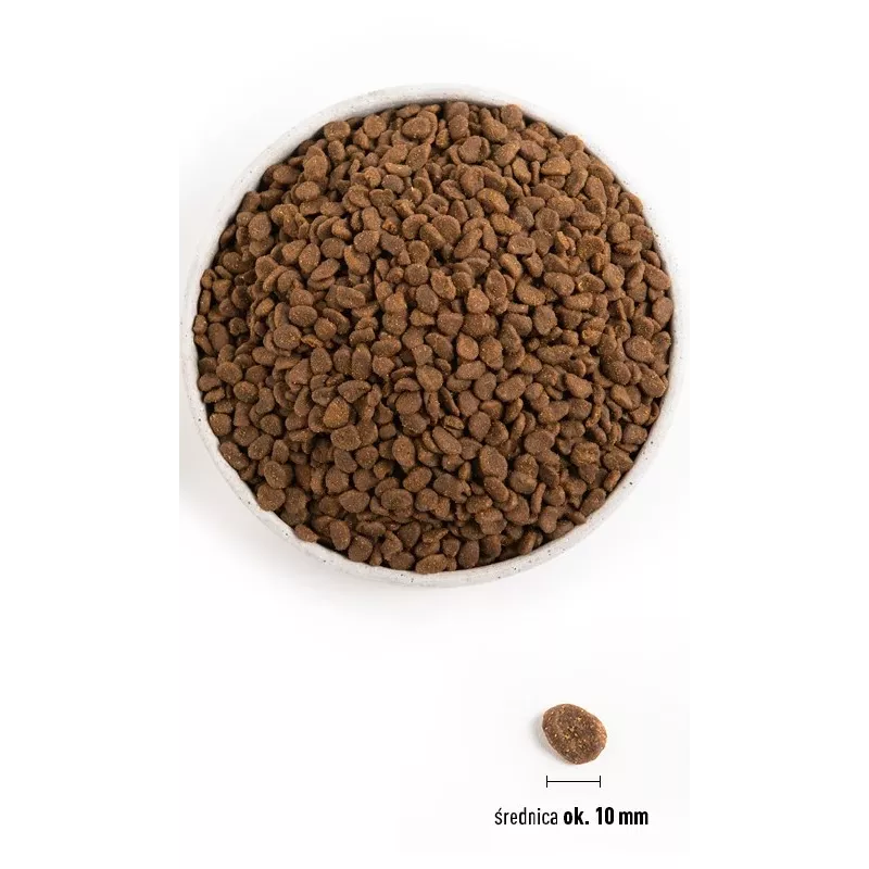 ORIJEN Six Fish Cat - suché krmivo pre mačky - 5,4kg