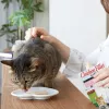 INABA Ciao grilované kuracie filé vo vývare s kuracou príchuťou - mačacie maškrty - 25 g