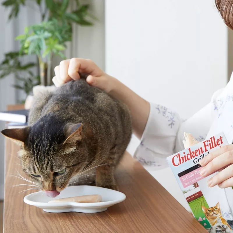 INABA Ciao grilované kuracie filé vo vývare s kuracou príchuťou - mačacie maškrty - 25 g