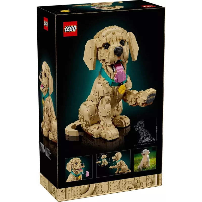 LEGO ICONS 11384 Šteniatko zlatého retrievera