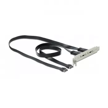 Slotový plech DeLOCK 89935 s 2 x USB Type-C konektormi