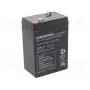 Olovená batéria europower EP4.5-6 6V 4,5Ah