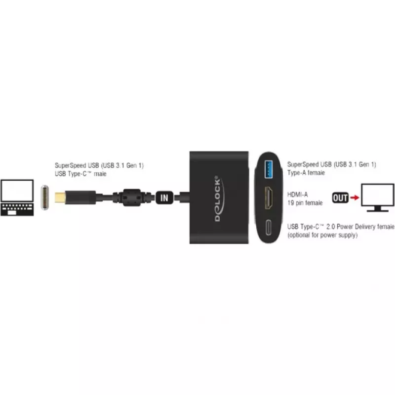 DeLOCK - externý video adaptér - VL101 - USB-C 3.1 - HDMI - sivý - retail (62991)