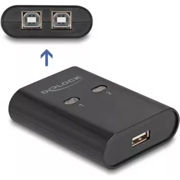 DeLOCK USB 2.0 prepínač periférií