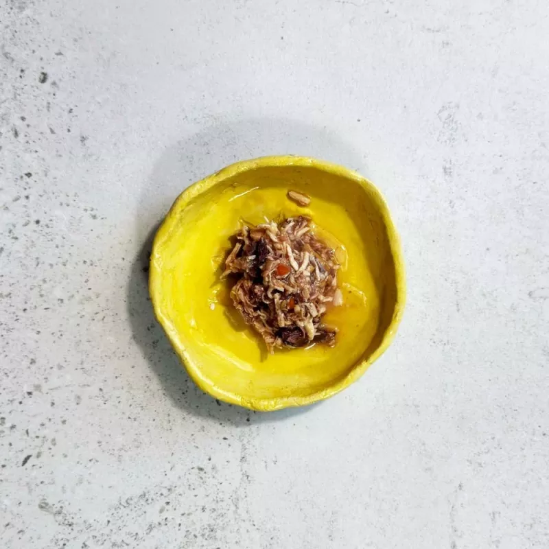Ollo tuniak a kurča s lososom vo vývare č. 2 70g
