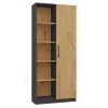 Nadstavec na knižnicu Topeshop RD-80 ANT/ART KPL, 10 políc, drevotrieska, 800×300×1820 mm